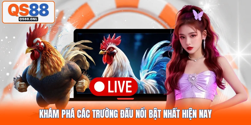 Khám phá các trường đấu nổi bật nhất hiện nay